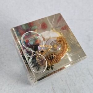 Florida Paperweight Vtg